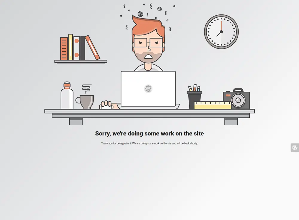 Business website design showcase