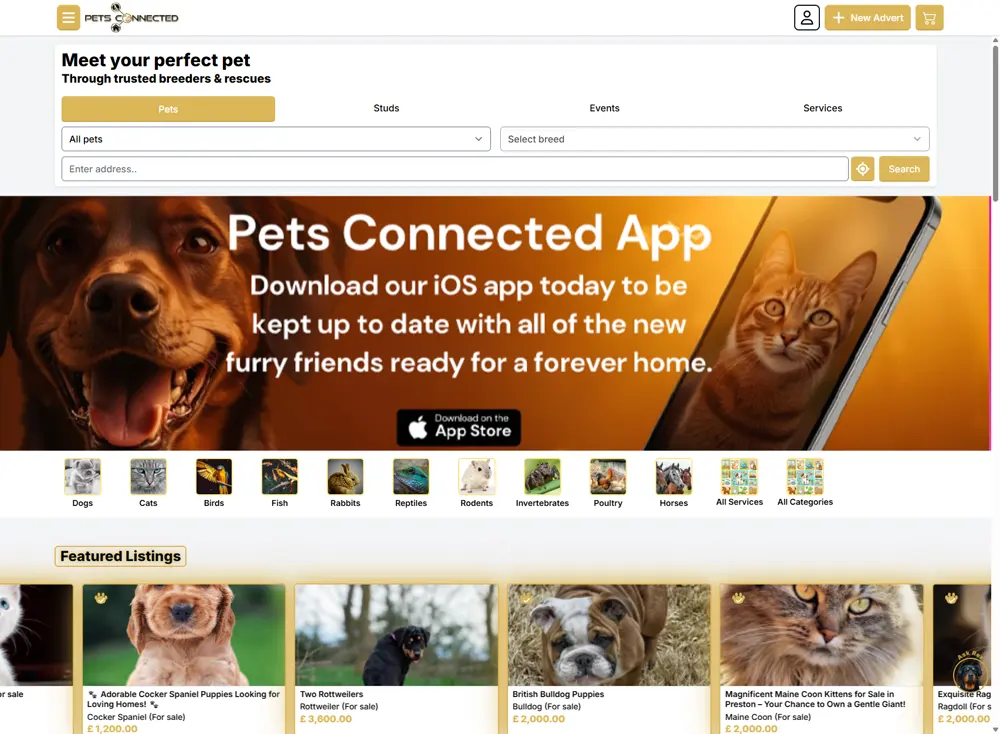 Custom coded website showcase