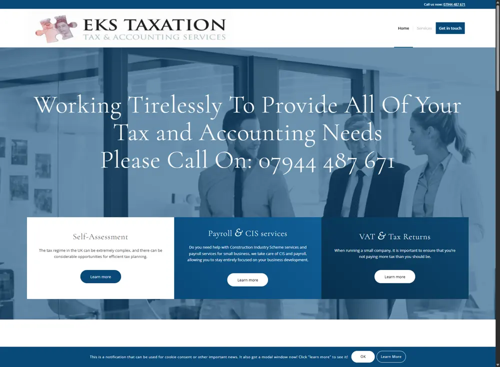 Business web development project